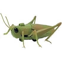 31O4NIxt+TL._AC_UL210_SR210,